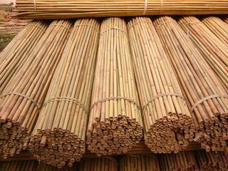 Bamboo Craft Bamboo pole for bamboo tables chairs, rattan cane baskets in Viet Nam