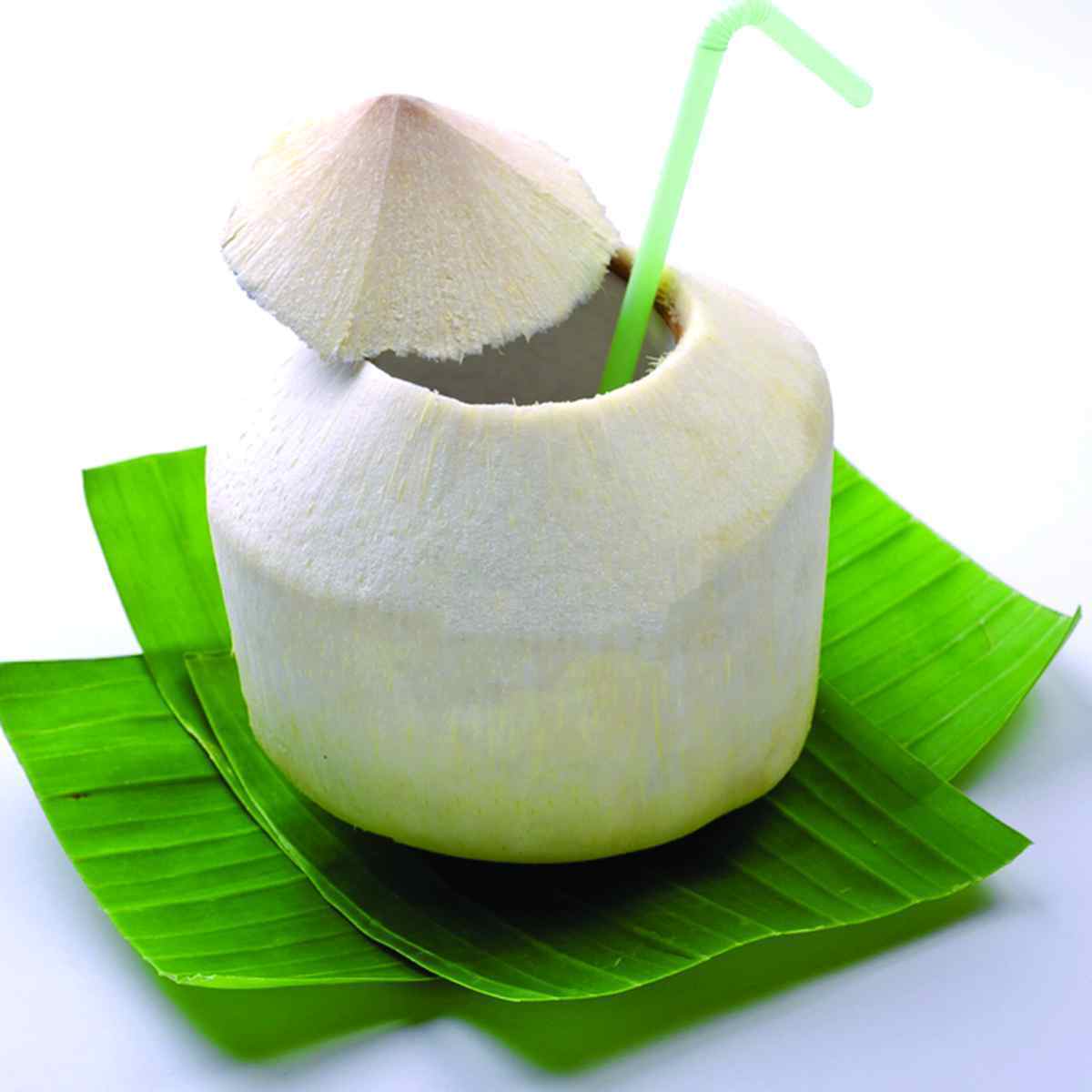 Mature Coconut Fresh Tender Coconut top cut polished semi husked fresh coconut