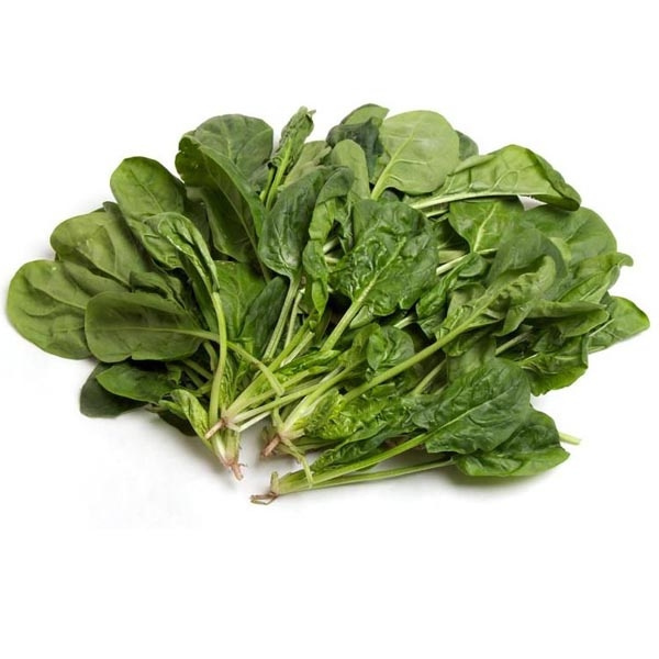 ORGANIC SPINACH POWDER EXTRACT DRIED DEHYDRATED SPINACIA OLERACEA