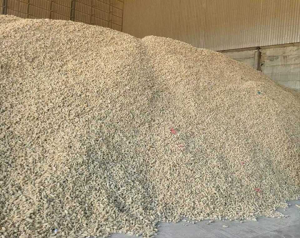 Animal feed dried corn cobs moisture 10% yellow corn chicken feed Corn silage