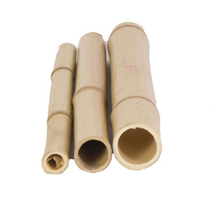 Cheap price Straight Raw Dry Garden Of Bamboo Poles