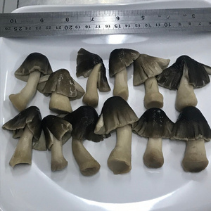 Whole sales straw mushroom Canned Rice straw mushroom