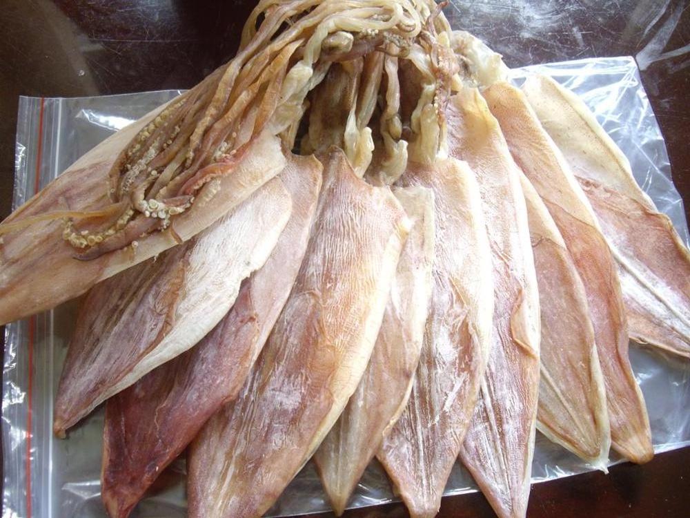 DRIED CUTTLLEFISH FROM VIETNAM, WHOLESALE HIGH QUALITY CUTTLEFISH SQUID