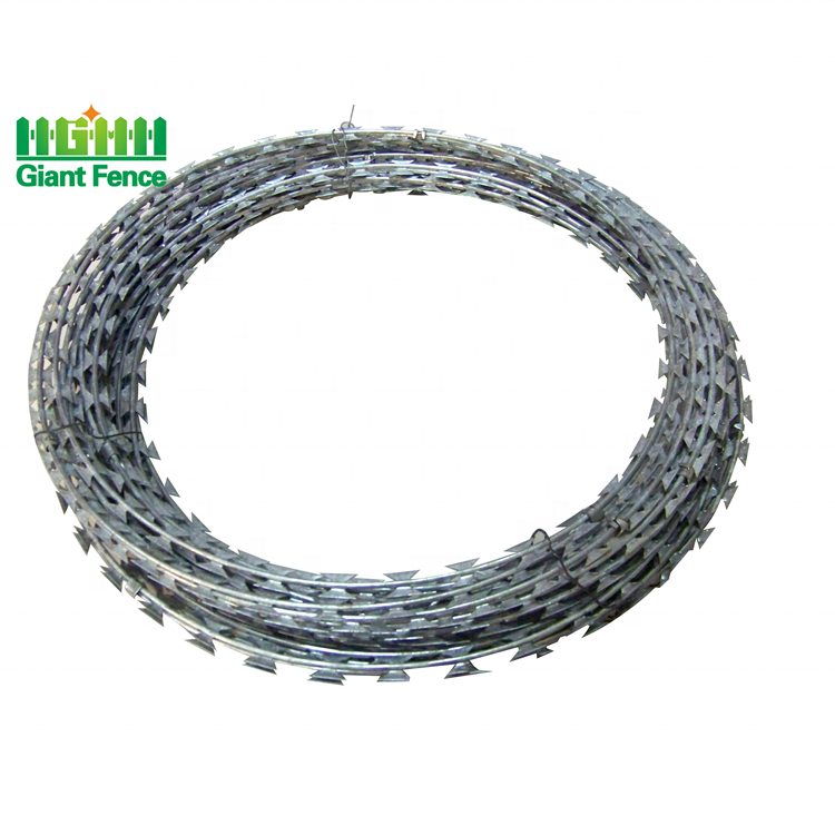 High Quality BTO22 Razor Barbed Wire Coil Best Price 5mm Galvanized Iron Wire 2.5mm Diameter for Prison Protection Fencing