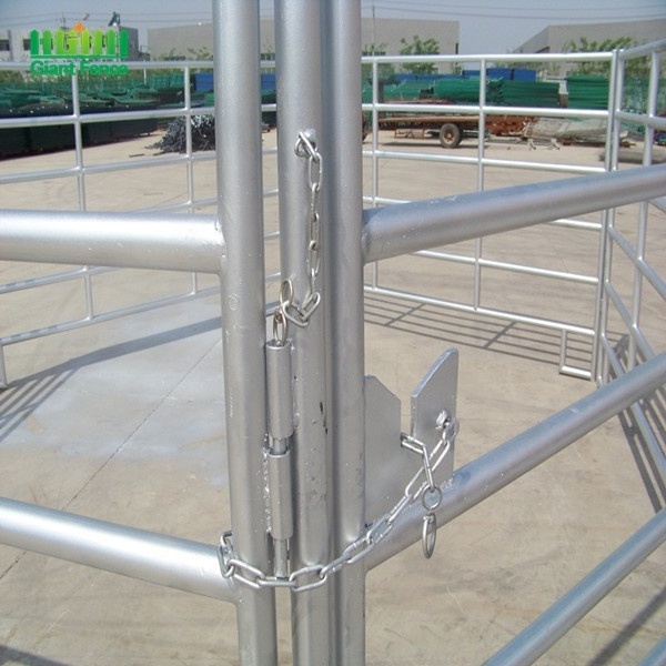 Modern Livestock Farm Fence Panel Horse and Cattle Corral Panel with Steel Frame Low Maintenance Welded Process Yard Gate