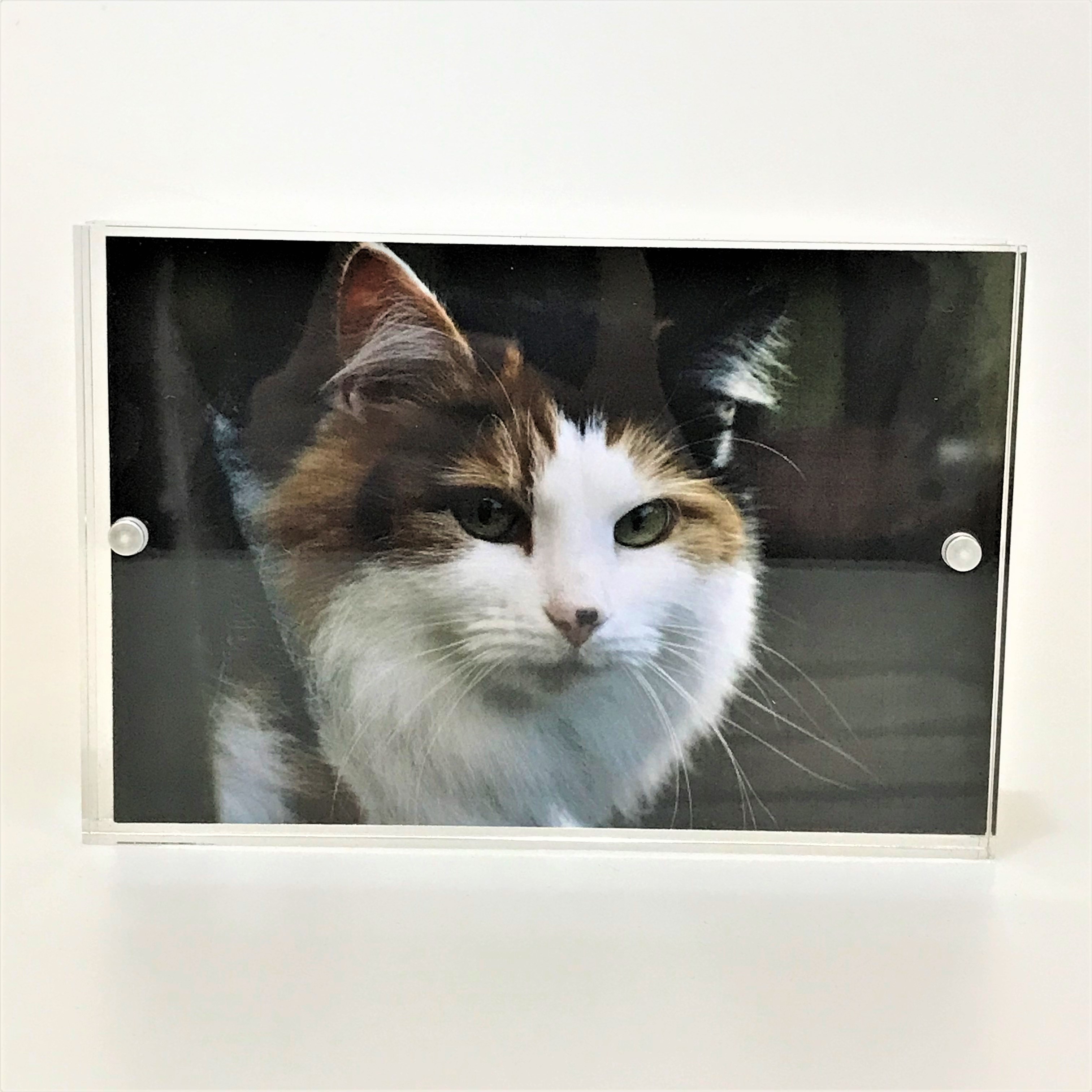 Custom Sizes Machine Magnetic Acrylic Block Photo Frame for Pets