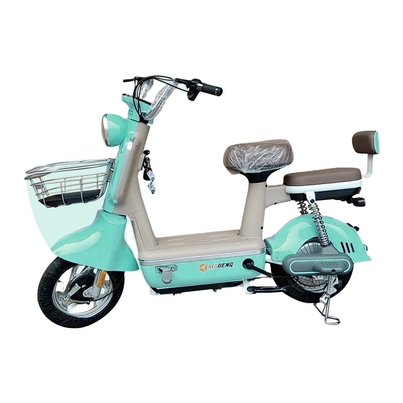 High Quality Wholesale Electric Bike with Multifunctional Remote Control Electric Bicycle 48v12ah/20ah 48V Rear Hub Motor 350W