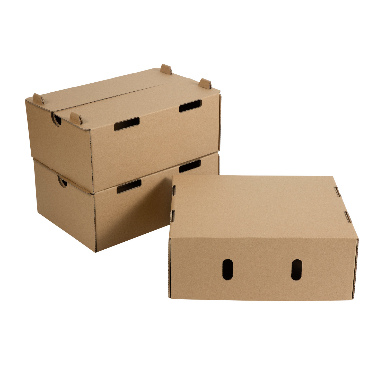 FPG Free Design Fruits Apples Oranges  Tomato Banana Blueberry Strawberry Cherry  Packaging Cardboard Shipping Box