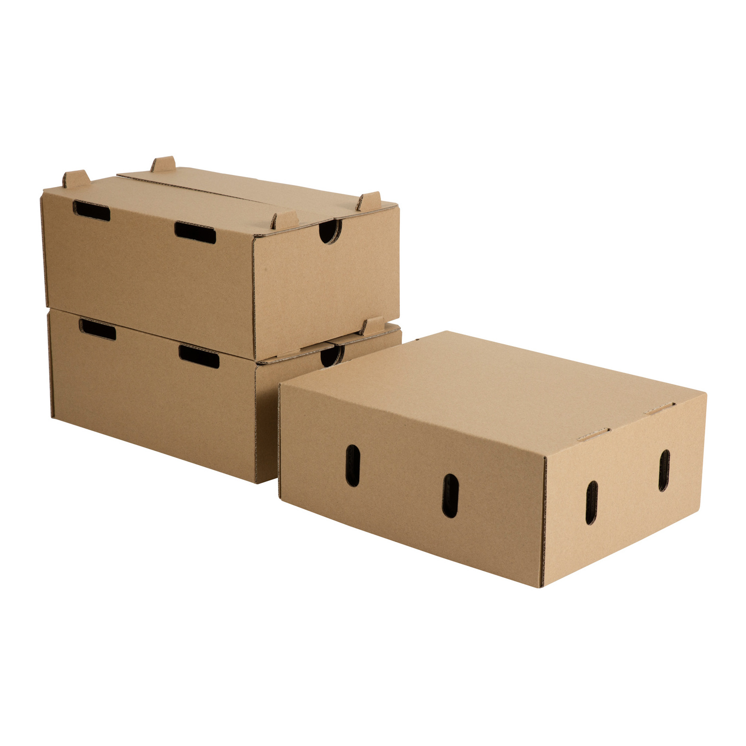 FPG Free Design Fruits Apples Oranges  Tomato Banana Blueberry Strawberry Cherry  Packaging Cardboard Shipping Box