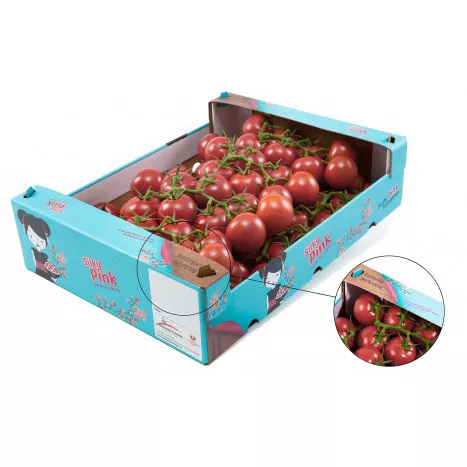 Custom 6kg waterproof fresh dragon mango cherry fruits and vegetable carton cardboard shipping box tomato packaging box