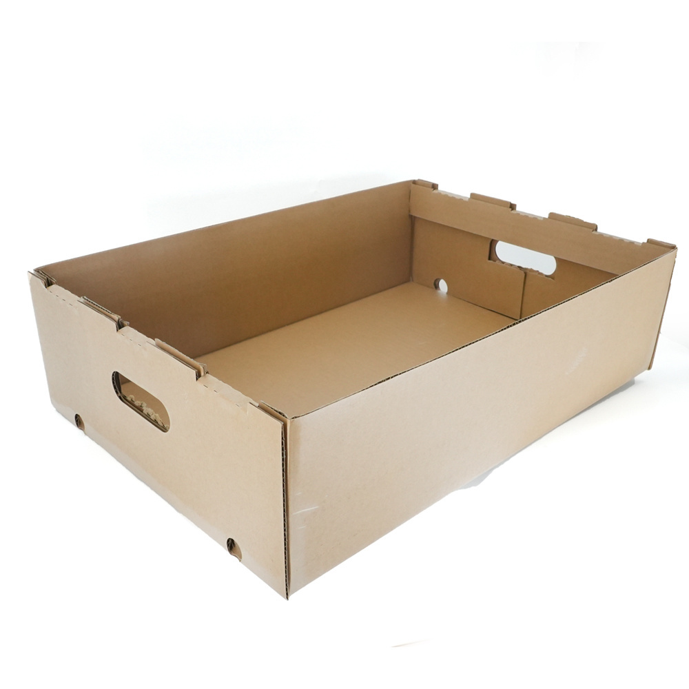 Manufacturer custom design low price multi sizes cardboard corrugated paper fruit packaging boxes banana carton box