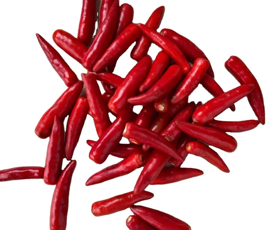 Vietnam Frozen red Chilli hot spicy goood price for export  , contact +84901797088 w