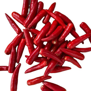 Vietnam Frozen red Chilli hot spicy goood price for export  , contact +84901797088 w