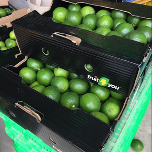 Fresh seedless Lime best quality  for sale Green Lime best quality for export by Gimex Vietnam company  , call +84984418844w