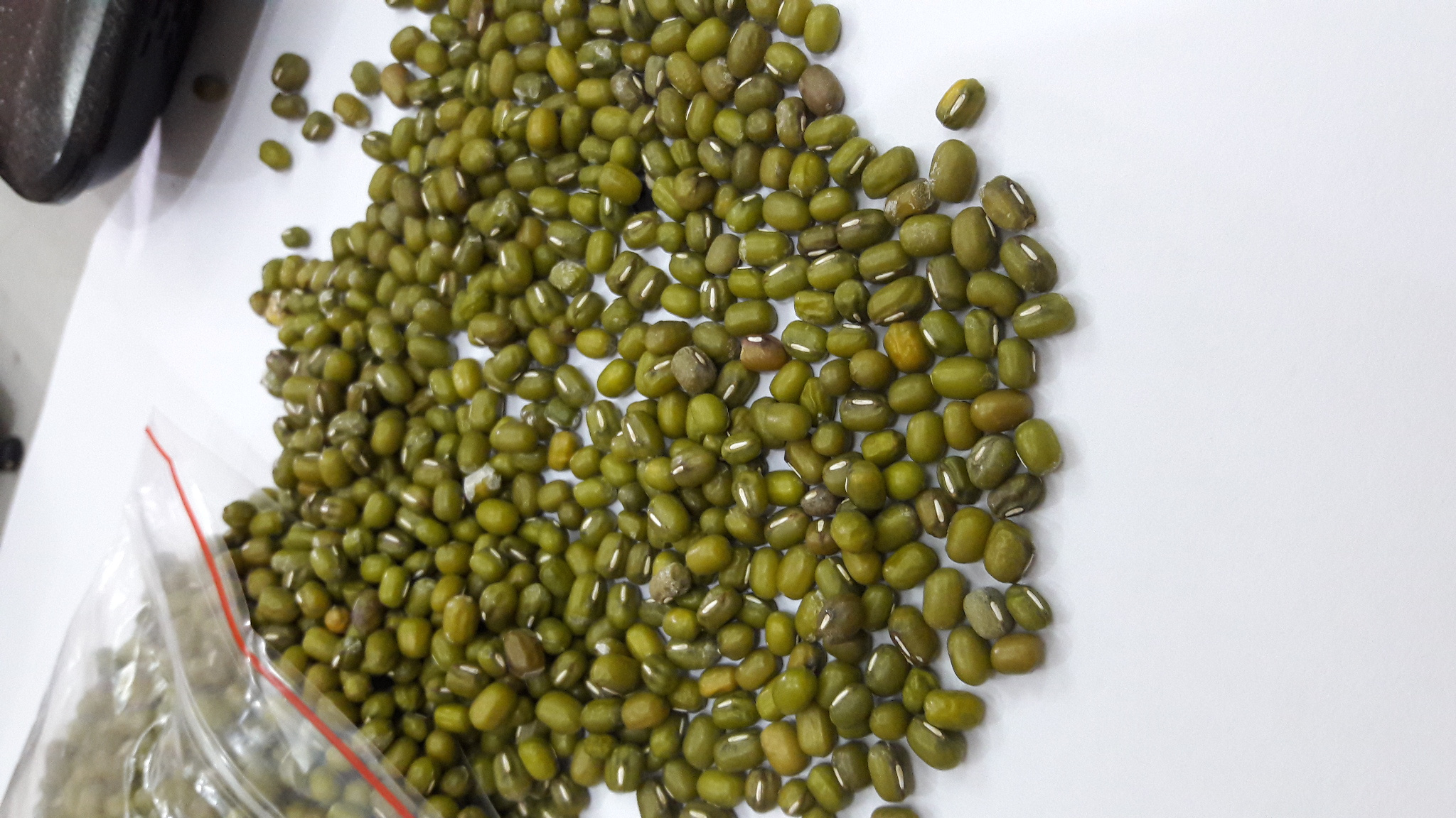 MUNG BEANS good price form vietnam , contact  +84963818434 whatsapp