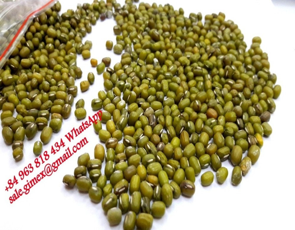 MUNG BEANS good price form vietnam , contact  +84963818434 whatsapp