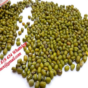 MUNG BEANS good price form vietnam , contact  +84963818434 whatsapp