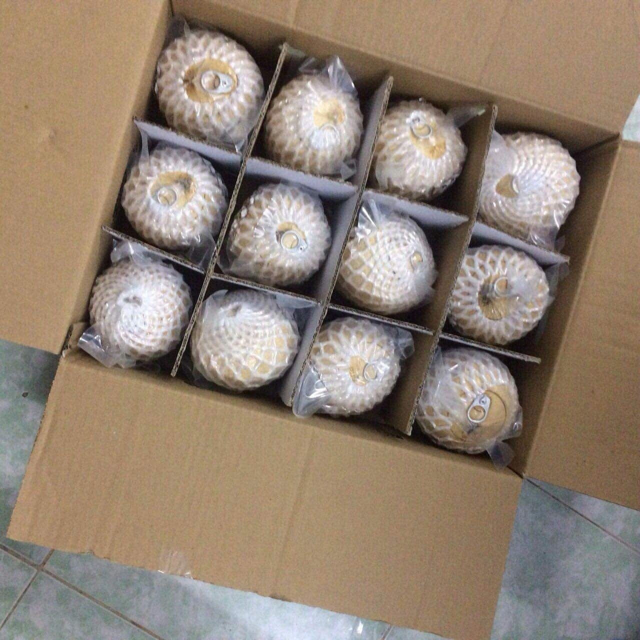 VIETNAM FRESH YOUNG COCONUT FOR SALE, contact +84984418844