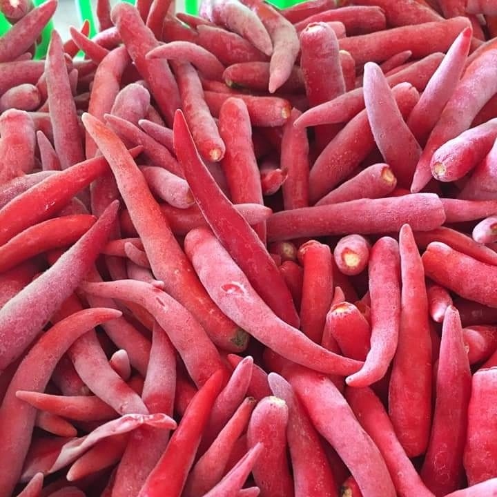 Vietnam Frozen red Chilli hot spicy goood price for export  , contact +84901797088 w