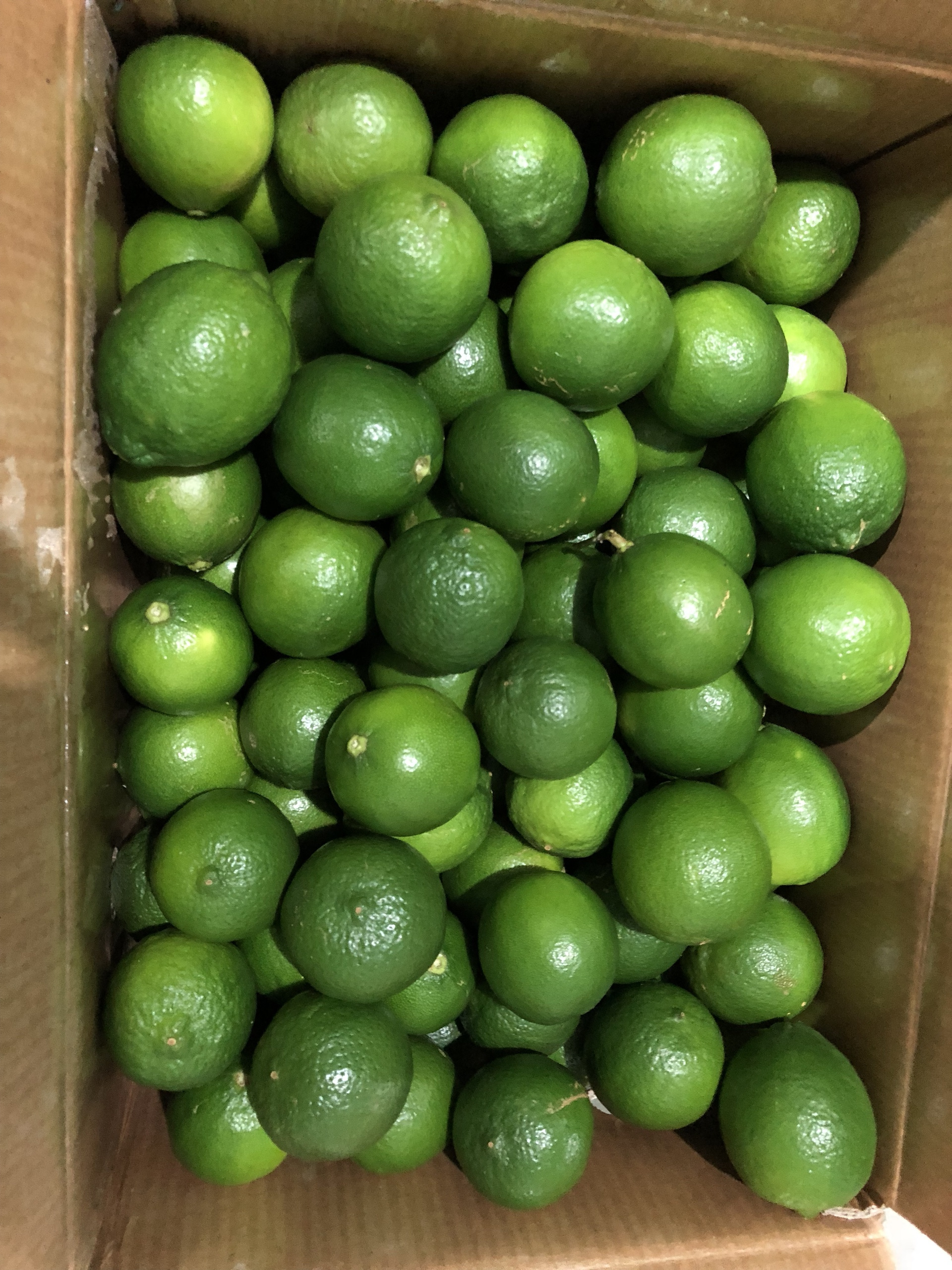 Fresh seedless Lime best quality  for sale Green Lime best quality for export by Gimex Vietnam company  , call +84984418844w