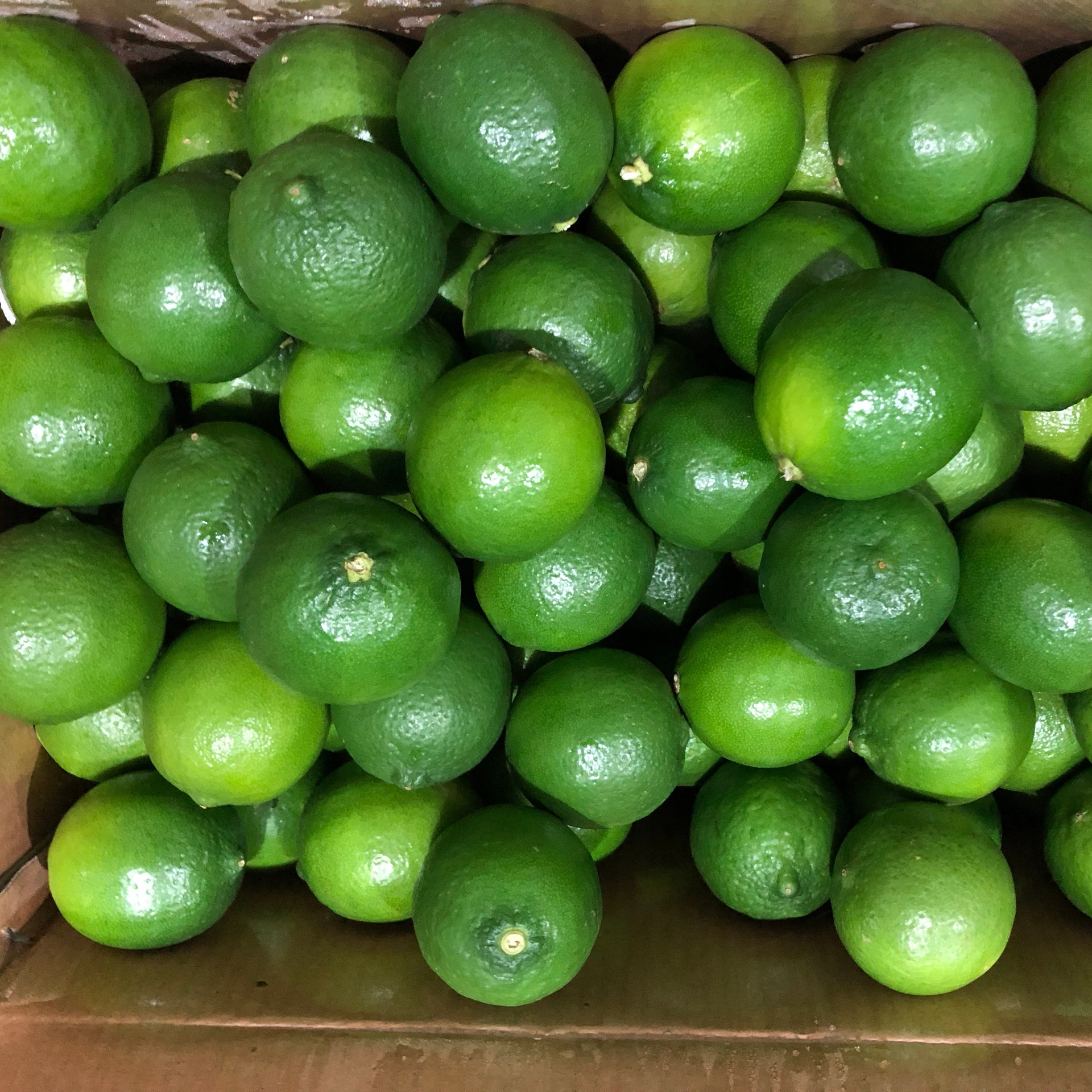 Fresh seedless Lime best quality  for sale Green Lime best quality for export by Gimex Vietnam company  , call +84984418844w