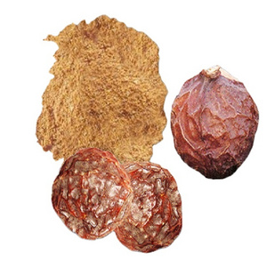 WholeSale Supplier of Reetha Fruit Powder from India