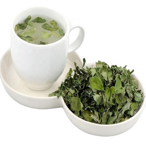 Pure Moringa Tea Supplier from India