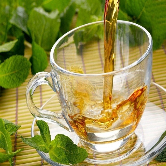 Pure Moringa Tea Supplier from India