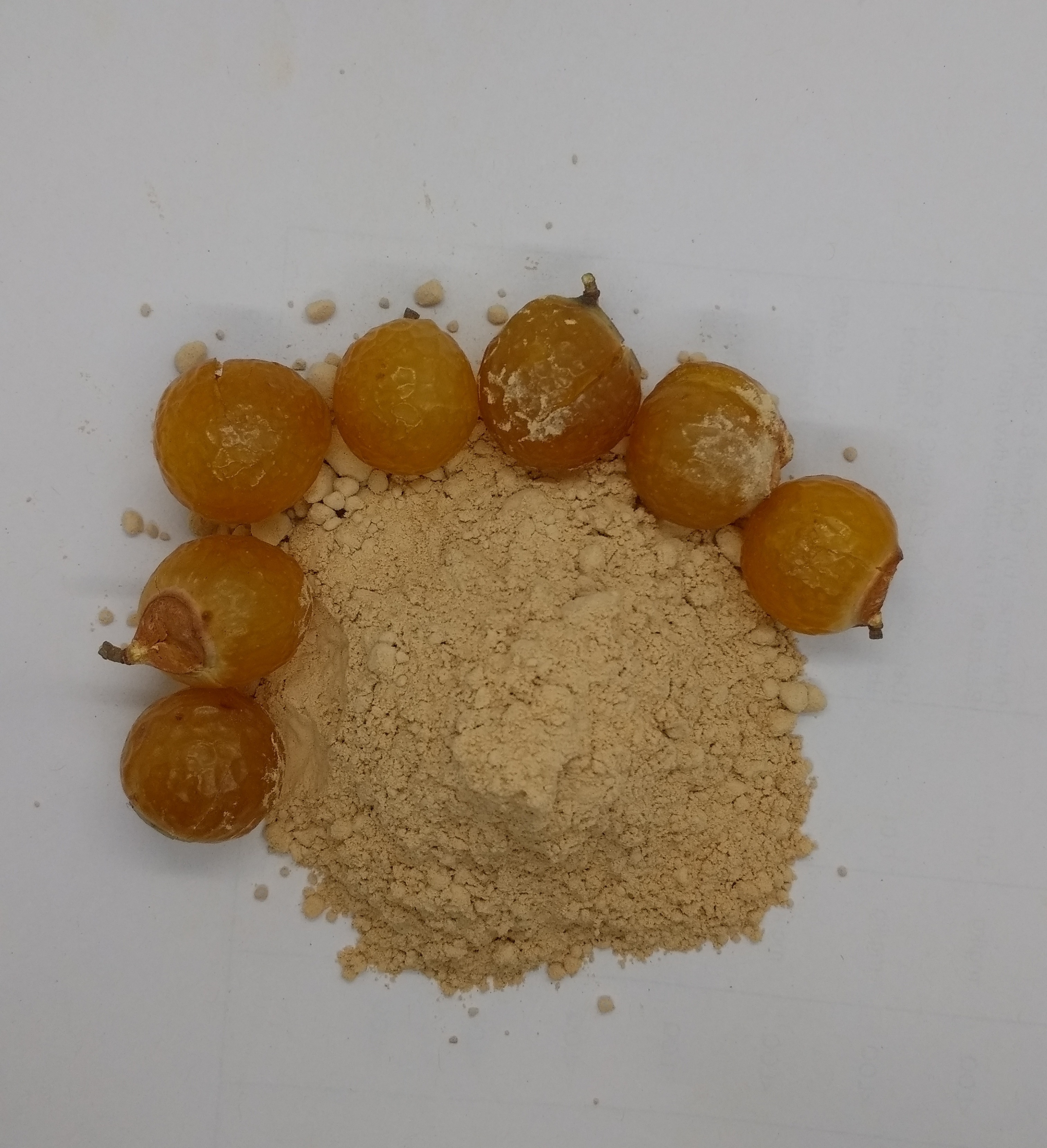 WholeSale Supplier of Reetha Fruit Powder from India