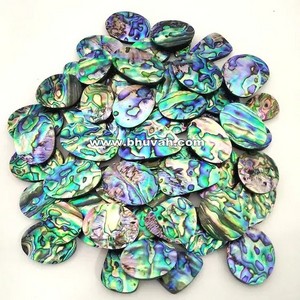 Abalone Natural New Zealand Paua Sea Shell Nice Export Quality in Wholesale Price