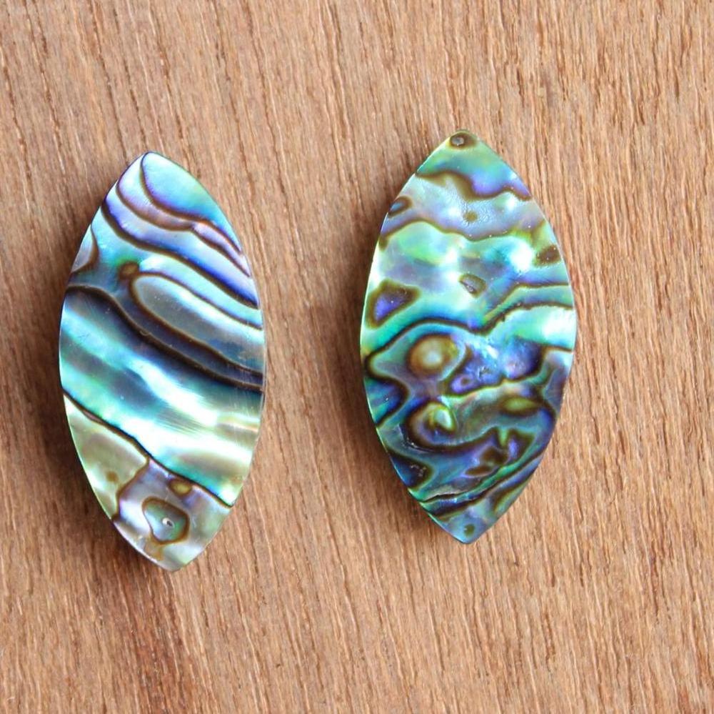 Paua Abalone Shell