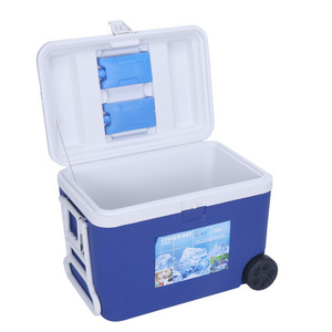 Travel 8L 12L 22L 30L 50L 60L Custom Fruit Drink Plastic Ice Cooler Box Manufacturers