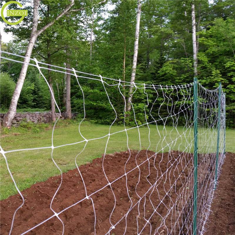 perfect design durable Hemp Trellis Net for plant