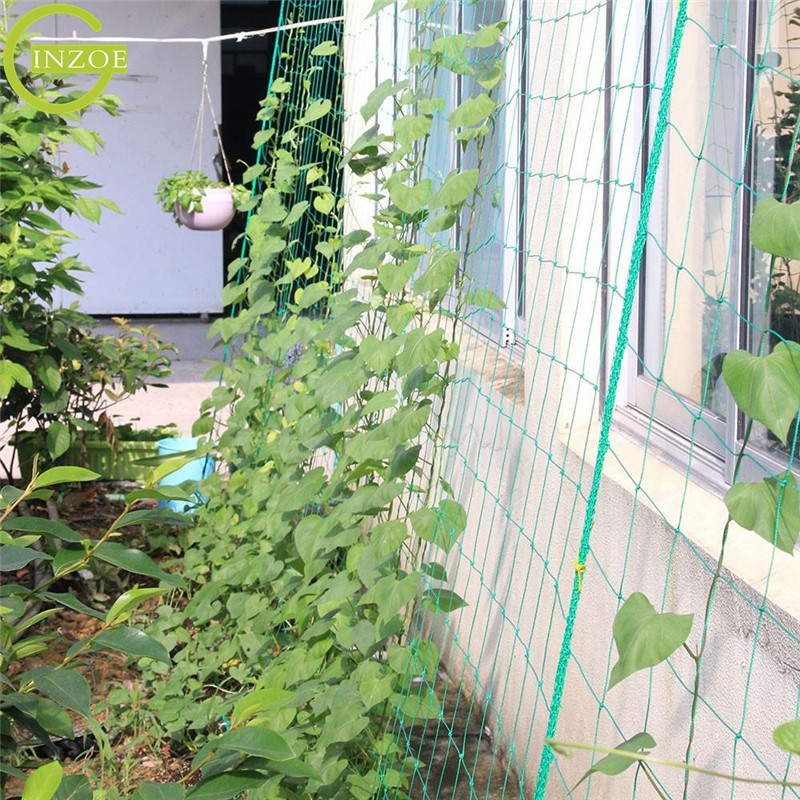 wholesale 20X20cm Cucumber Net for climbing plants