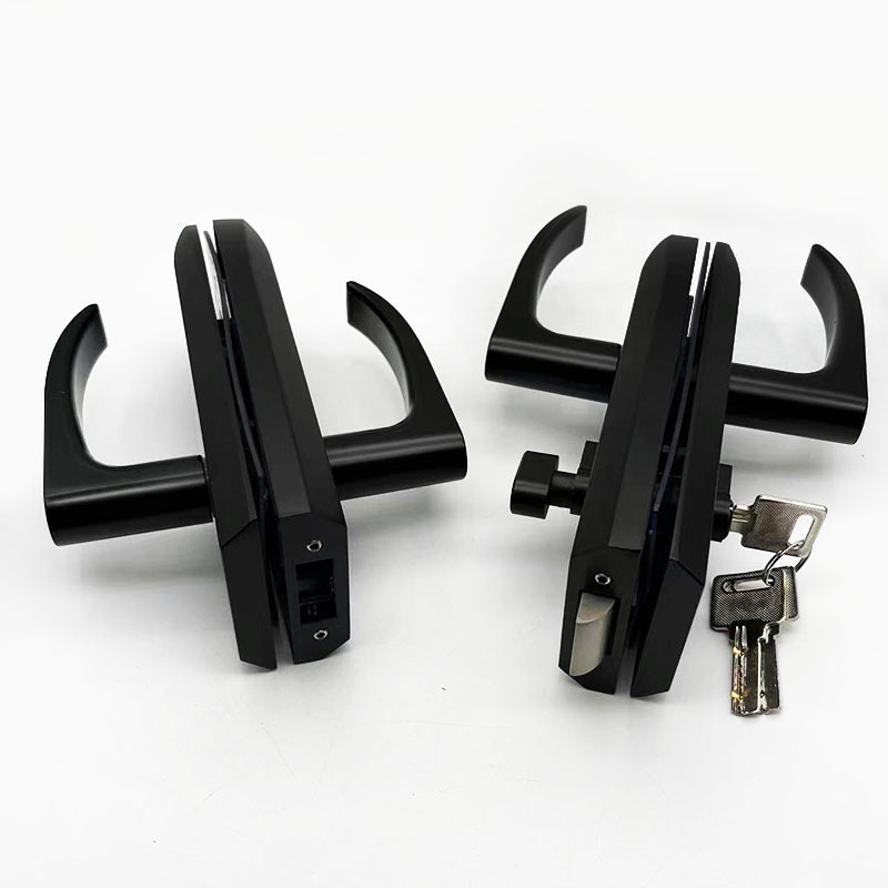 Custom paint double handle swing door lock system low price glass door lock with double handle