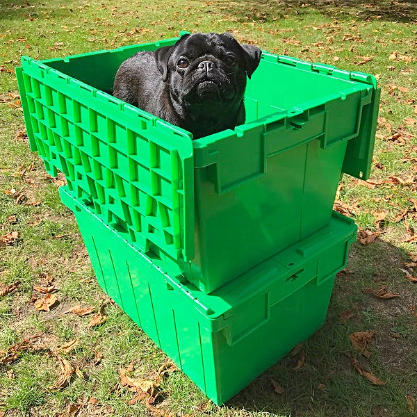 Warehouse Stacking PP Tote Attached lid Nest Plastic Crate Plastic Moving Box