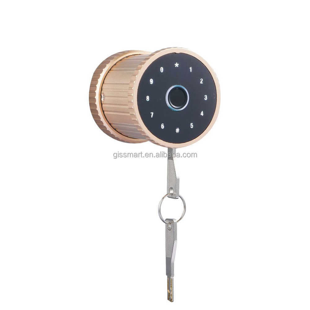 High Quality Temporary Password Fingerprint Tuya App Smart Door Lock Electronic Biometric Smart Handle Locks with Key