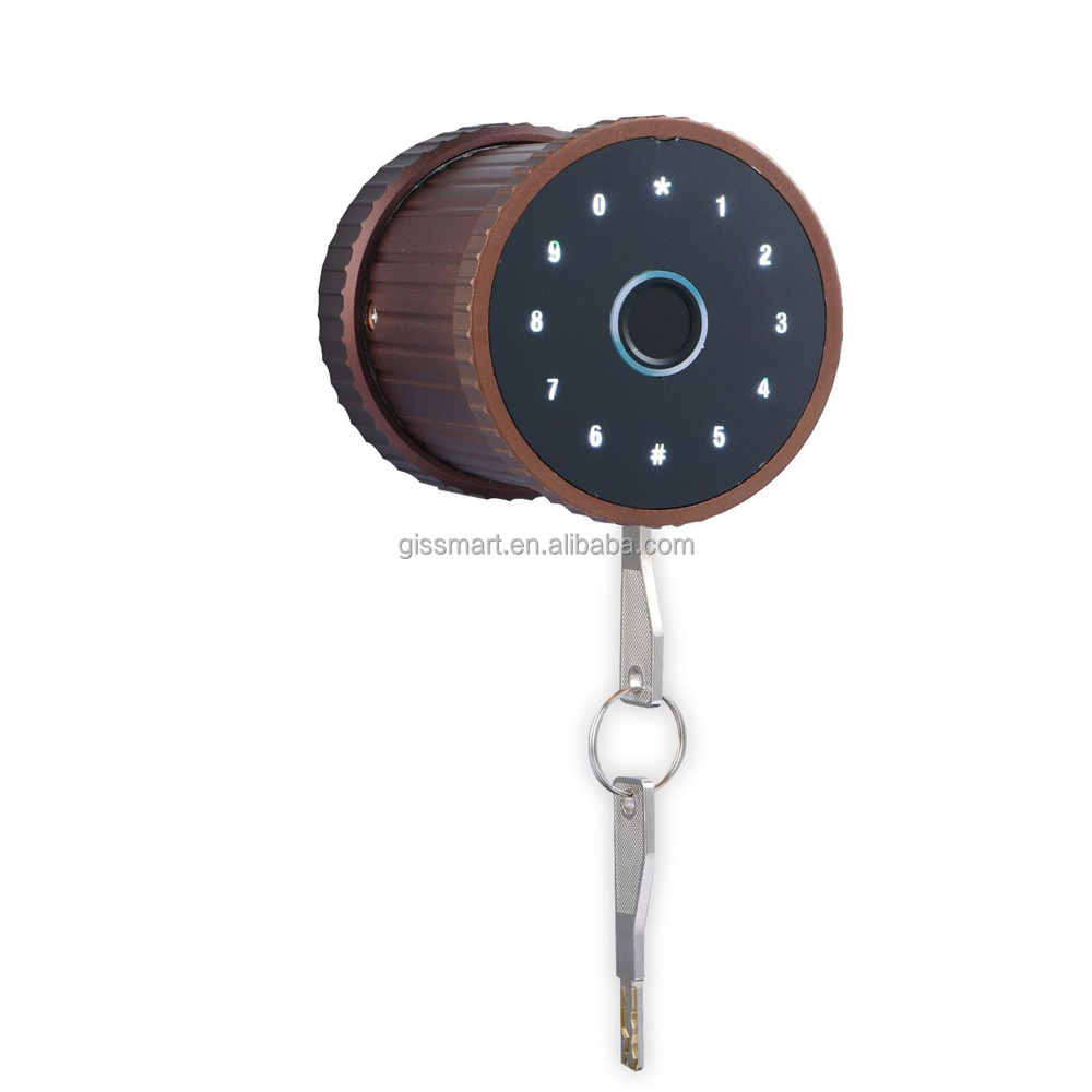 High Quality Temporary Password Fingerprint Tuya App Smart Door Lock Electronic Biometric Smart Handle Locks with Key