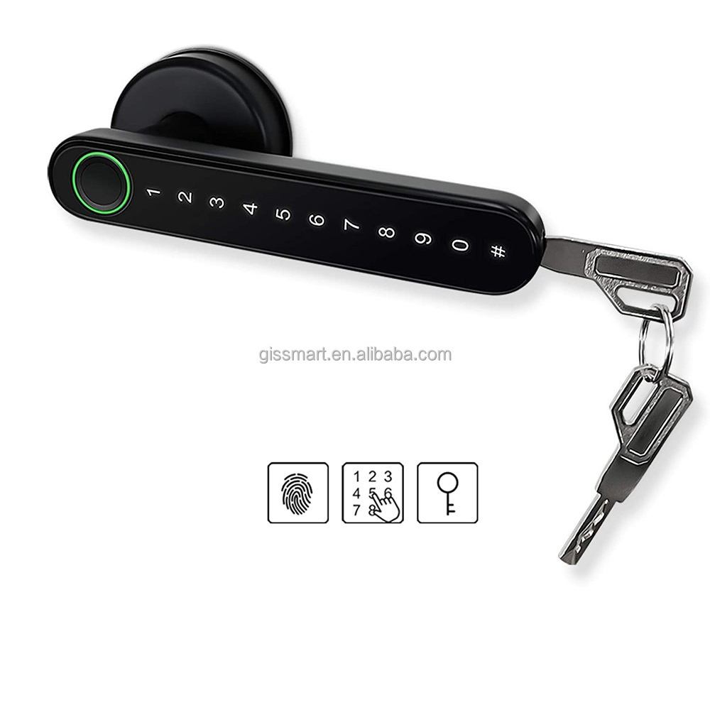 Ttlock App BLE Biometric Handle Lock for Office Department Airbnb Digital Password Fingerprint Smart Lock for Home Application