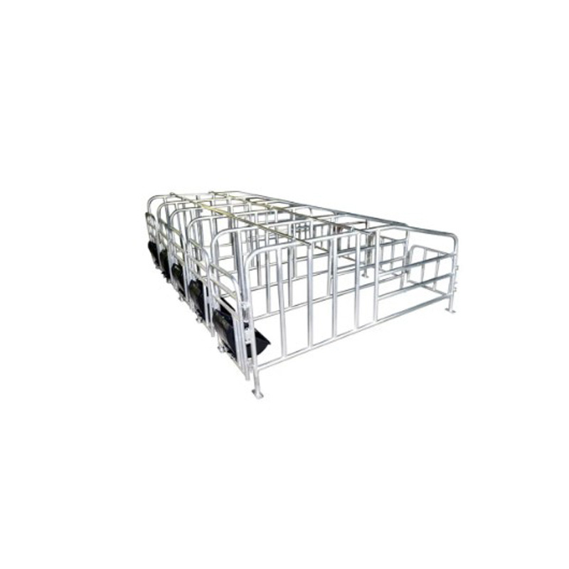 Pig breeding equipment gestation positioning column stalls for sows