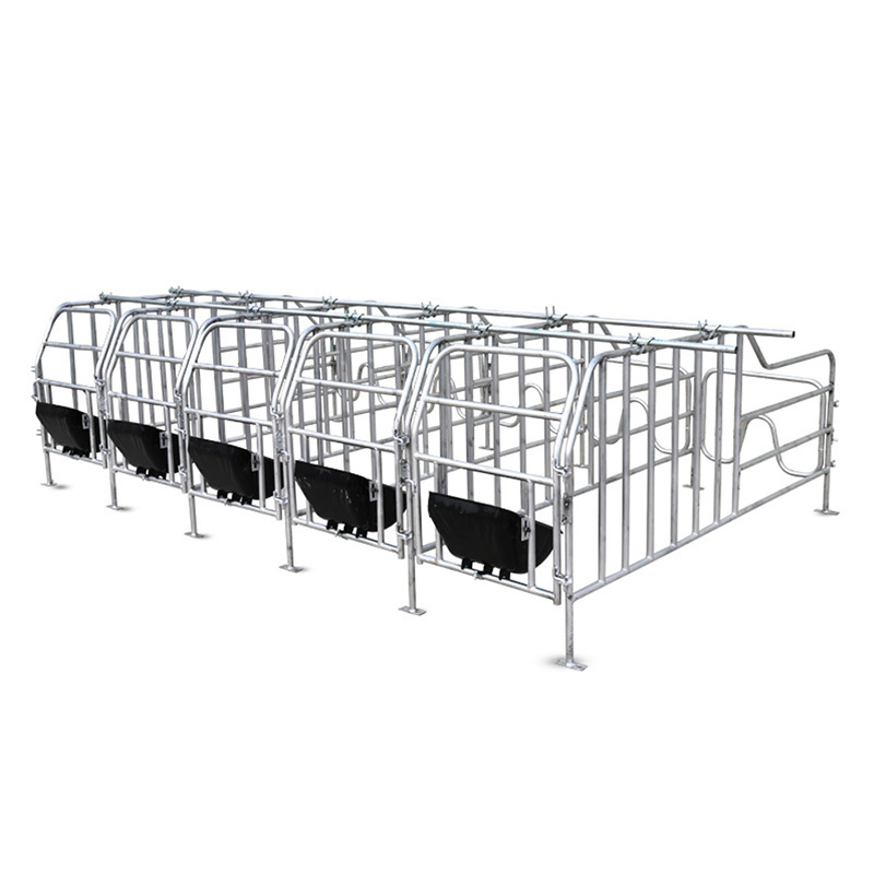 Pig breeding equipment gestation positioning column stalls for sows