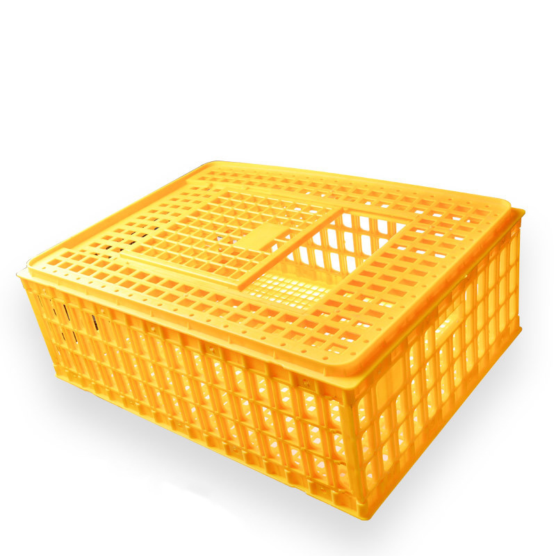 Plastic pigeon Chicken Training Box Transport Cage Pigeon Bird Trap Cage