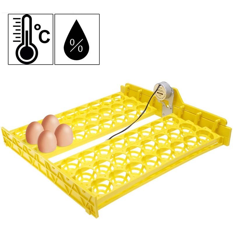 Wholesale Fully Automatic Hatching Machine 48 Eggs Incubator Egg Incubator Hatcher