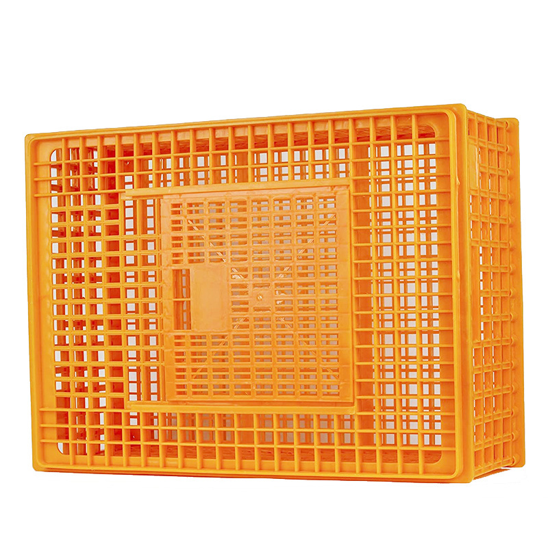 Plastic pigeon Chicken Training Box Transport Cage Pigeon Bird Trap Cage