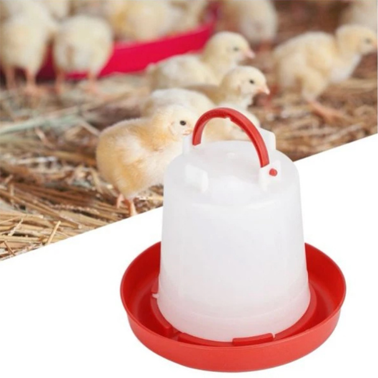 Poultry Feeding Equipment Brolier Water Drinker and Feeder 2.5L Plastic Chicken Waterer