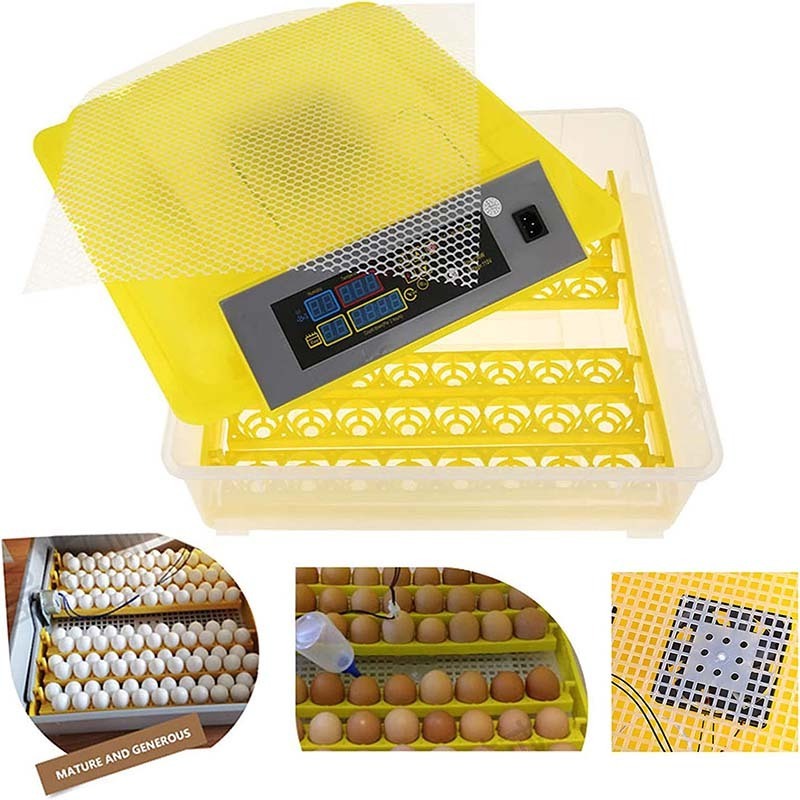 Wholesale Fully Automatic Hatching Machine 48 Eggs Incubator Egg Incubator Hatcher