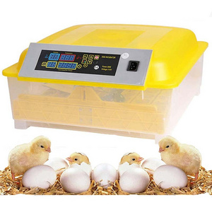 Wholesale Fully Automatic Hatching Machine 48 Eggs Incubator Egg Incubator Hatcher