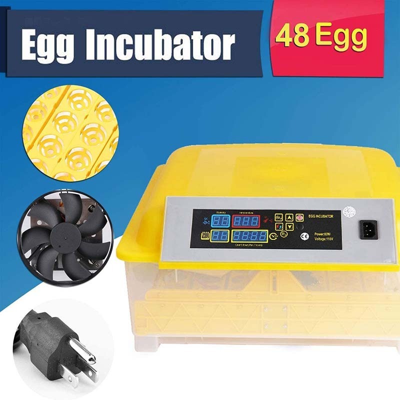 Wholesale Fully Automatic Hatching Machine 48 Eggs Incubator Egg Incubator Hatcher