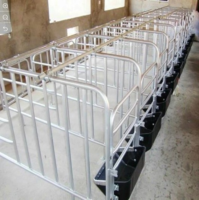 Pig breeding equipment gestation positioning column stalls for sows