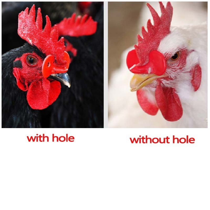 Chicken Glasses Chicken No Bolt Poultry Anti-pecking Chicken Plastic Eye Glasses